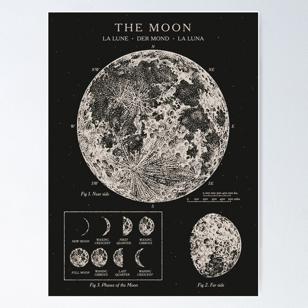 Moon Phases Vintage Poster Poster RB0901 product Offical galaxy Merch